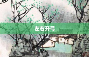 左右开弓【左右开弓的意思】- 成语大全