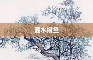 混水捞鱼【混水捞鱼的意思】- 成语大全