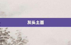 灰头土面【灰头土面的意思】- 成语大全