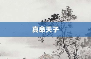 真命天子【真命天子的意思】- 成语大全