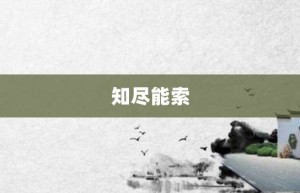 知尽能索【知尽能索的意思】- 成语大全