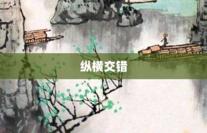 纵横交错【纵横交错的意思】- 成语大全