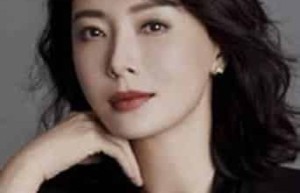 陈数【中国女演员，白玉兰、金鹰奖、华鼎奖三料视后】 – 人物百科