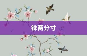 铢两分寸【铢两分寸的意思】- 成语大全