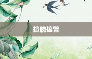 揎腕攘臂【揎腕攘臂的意思】- 成语大全