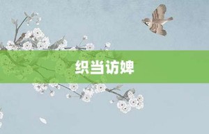 织当访婢【织当访婢的意思】- 成语大全