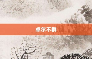 卓尔不群【卓尔不群的意思】- 成语大全