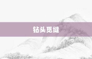 钻头觅缝【钻头觅缝的意思】- 成语大全