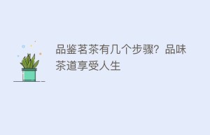 品鉴茗茶有几个步骤？品味茶道享受人生_饮食文化 菊江历史网