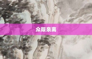 众叛亲离【众叛亲离的意思】- 成语大全