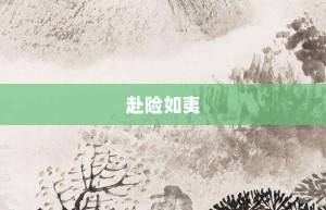 赴险如夷【赴险如夷的意思】- 成语大全