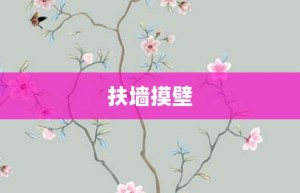 扶墙摸壁【扶墙摸壁的意思】- 成语大全