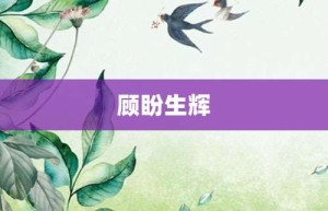 顾盼生辉【顾盼生辉的意思】- 成语大全