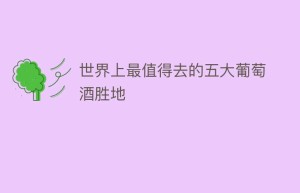 世界上最值得去的五大葡萄酒胜地_饮食文化 菊江历史网