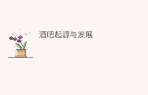 酒吧起源与发展_饮食文化 菊江历史网