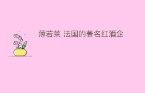 薄若莱 法国的著名红酒企_饮食文化 菊江历史网