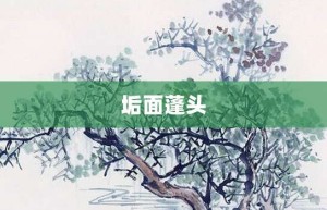 垢面蓬头【垢面蓬头的意思】- 成语大全