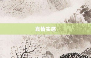 真情实感【真情实感的意思】- 成语大全