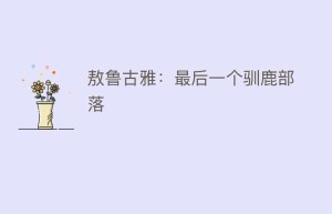 敖鲁古雅：最后一个驯鹿部落_民俗文化 菊江历史网