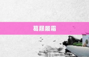 葛屦履霜【葛屦履霜的意思】- 成语大全