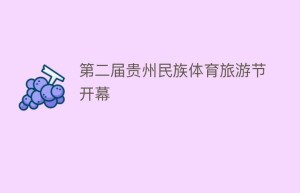 第二届贵州民族体育旅游节开幕_民俗文化 菊江历史网