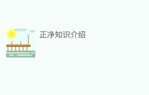 正净知识介绍_民间艺术 菊江历史网