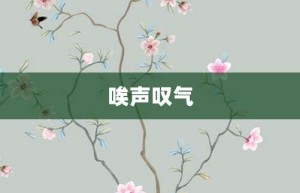 唉声叹气【唉声叹气的意思】- 成语大全