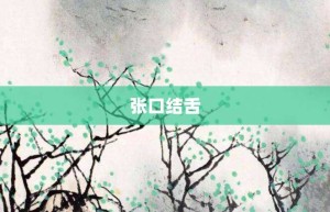 张口结舌【张口结舌的意思】- 成语大全
