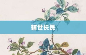 辅世长民【辅世长民的意思】- 成语大全