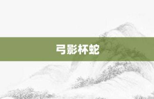 弓影杯蛇【弓影杯蛇的意思】- 成语大全