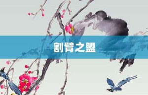 割臂之盟【割臂之盟的意思】- 成语大全