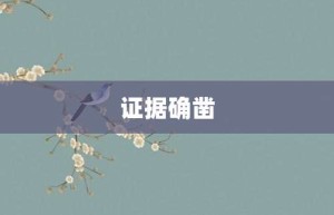 证据确凿【证据确凿的意思】- 成语大全