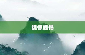 魂惊魄惕【魂惊魄惕的意思】- 成语大全