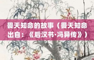 畏天知命的故事（畏天知命出自：《后汉书·冯异传》）_成语故事 菊江历史网