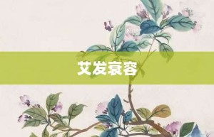 艾发衰容【艾发衰容的意思】- 成语大全