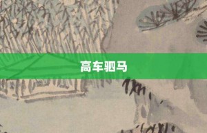 高车驷马【高车驷马的意思】- 成语大全