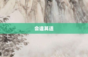 会逢其适【会逢其适的意思】- 成语大全