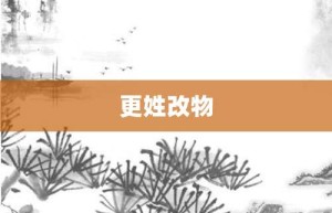 更姓改物【更姓改物的意思】- 成语大全