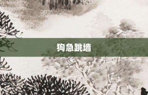 狗急跳墙【狗急跳墙的意思】- 成语大全