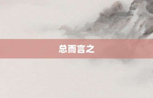 总而言之【总而言之的意思】- 成语大全