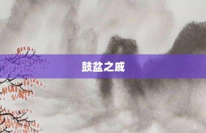 鼓盆之戚【鼓盆之戚的意思】- 成语大全