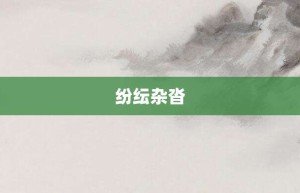 纷纭杂沓【纷纭杂沓的意思】- 成语大全