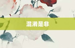 混淆是非【混淆是非的意思】- 成语大全