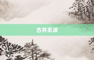 古井无波【古井无波的意思】- 成语大全