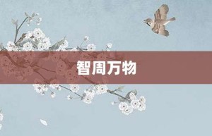 智周万物【智周万物的意思】- 成语大全