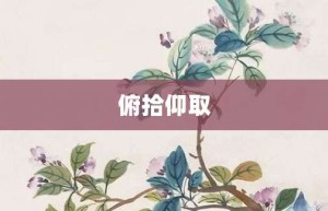 俯拾仰取【俯拾仰取的意思】- 成语大全
