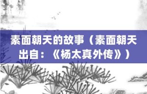 素面朝天的故事（素面朝天出自：《杨太真外传》）_成语故事 菊江历史网