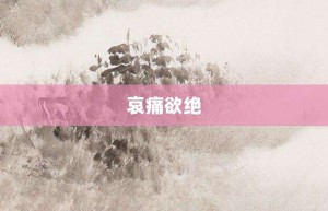 哀痛欲绝【哀痛欲绝的意思】- 成语大全