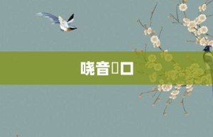 哓音瘏口【哓音瘏口的意思】- 成语大全