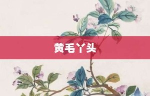 黄毛丫头【黄毛丫头的意思】- 成语大全